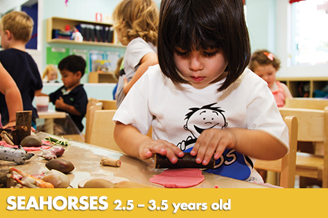 Seahorses - Kids on 4th Child Care & Kindergarten